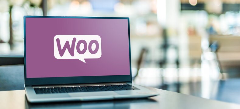 How you can start your ecommerce store with wordpress